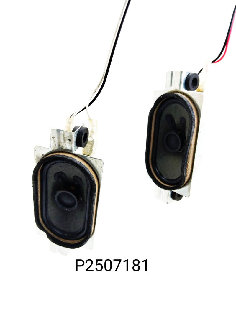 P2507181 LED TV SPEAKER